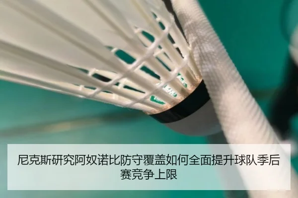 尼克斯研究阿奴诺比防守覆盖如何全面提升球队季后赛竞争上限